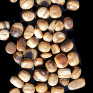 Chocolate Calcite 55 tumbled stones 21*11mm - 24-23mm  810g Wholesale in sunlight - Rocks and Things Store