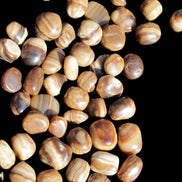 Chocolate Calcite 55 tumbled stones 21*11mm - 24-23mm  810g Wholesale in sunlight - Rocks and Things Store