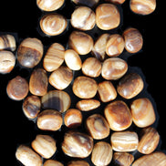 Chocolate Calcite 55 tumbled stones 21*11mm - 24-23mm  810g Wholesale in sunlight - Rocks and Things Store