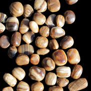 Chocolate Calcite 55 tumbled stones 21*11mm - 24-23mm  810g Wholesale in sunlight - Rocks and Things Store