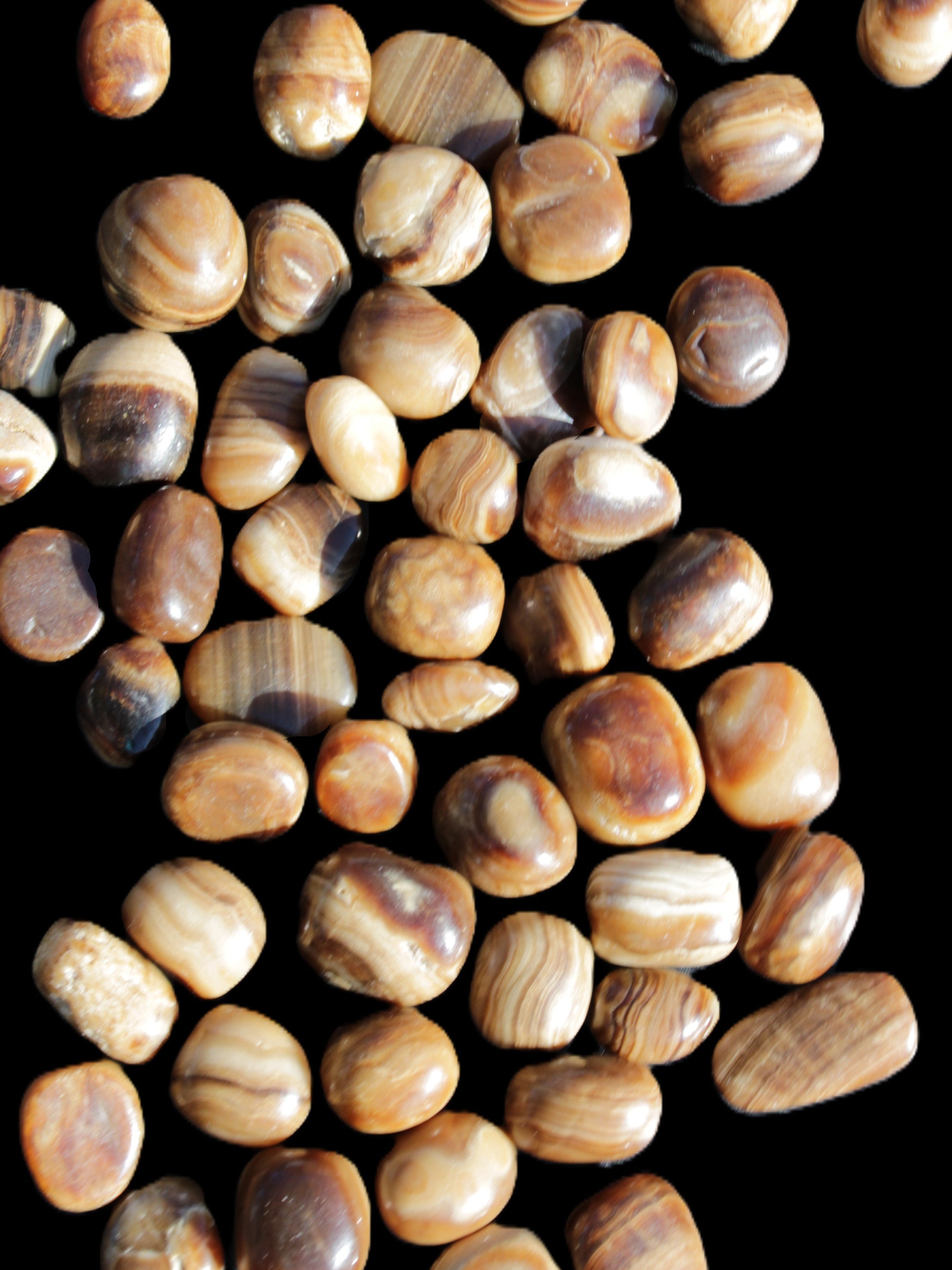 Chocolate Calcite 55 tumbled stones 21*11mm - 24-23mm  810g Wholesale in sunlight - Rocks and Things Store
