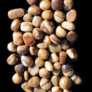 Chocolate Calcite 55 tumbled stones 21*11mm - 24-23mm  810g Wholesale in sunlight - Rocks and Things Store