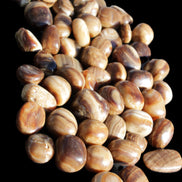 Chocolate Calcite 55 tumbled stones 21*11mm - 24-23mm  810g Wholesale in sunlight - Rocks and Things Store