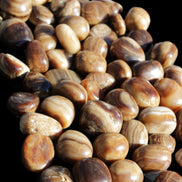 Chocolate Calcite 55 tumbled stones 21*11mm - 24-23mm  810g Wholesale in sunlight - Rocks and Things Store