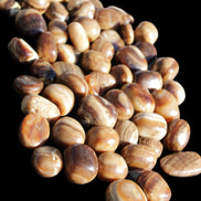 Chocolate Calcite 55 tumbled stones 21*11mm - 24-23mm  810g Wholesale in sunlight - Rocks and Things Store