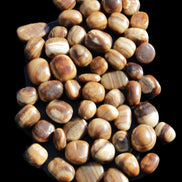 Chocolate Calcite 55 tumbled stones 21*11mm - 24-23mm  810g Wholesale in sunlight - Rocks and Things Store