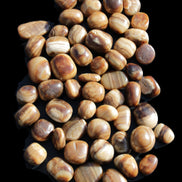 Chocolate Calcite 55 tumbled stones 21*11mm - 24-23mm  810g Wholesale in sunlight - Rocks and Things Store