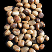 Chocolate Calcite 55 tumbled stones 21*11mm - 24-23mm  810g Wholesale in sunlight - Rocks and Things Store