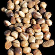 Chocolate Calcite 55 tumbled stones 21*11mm - 24-23mm  810g Wholesale in sunlight - Rocks and Things Store