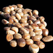 Chocolate Calcite 55 tumbled stones 21*11mm - 24-23mm  810g Wholesale in sunlight - Rocks and Things Store