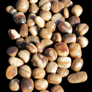 Chocolate Calcite 55 tumbled stones 21*11mm - 24-23mm  810g Wholesale in sunlight - Rocks and Things Store