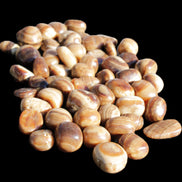 Chocolate Calcite 55 tumbled stones 21*11mm - 24-23mm  810g Wholesale in sunlight - Rocks and Things Store