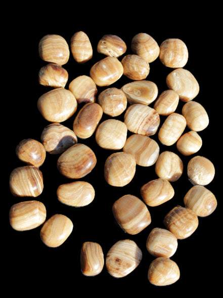 Chocolate Calcite 39 tumbled stones  23*17mm - 25*22mm 670g Wholesale in sunlight - Rocks and Things Store