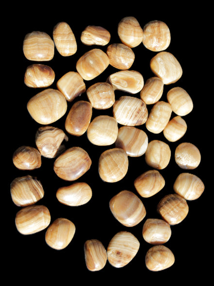 Chocolate Calcite 39 tumbled stones  23*17mm - 25*22mm 670g Wholesale in sunlight - Rocks and Things Store
