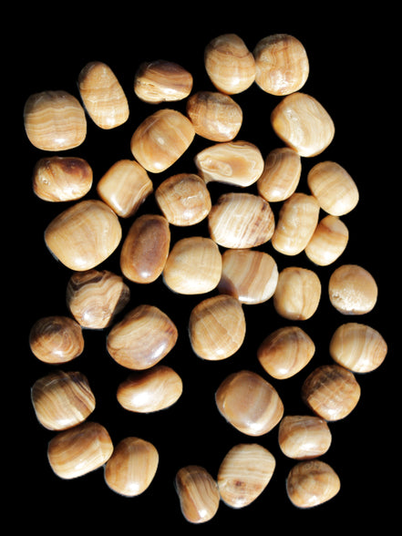 Chocolate Calcite 39 tumbled stones  23*17mm - 25*22mm 670g Wholesale in sunlight - Rocks and Things Store