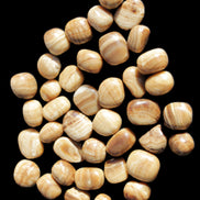 Chocolate Calcite 39 tumbled stones  23*17mm - 25*22mm 670g Wholesale in sunlight - Rocks and Things Store