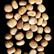 Chocolate Calcite 39 tumbled stones  23*17mm - 25*22mm 670g Wholesale in sunlight - Rocks and Things Store