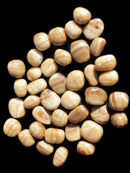 Chocolate Calcite 39 tumbled stones  23*17mm - 25*22mm 670g Wholesale in sunlight - Rocks and Things Store