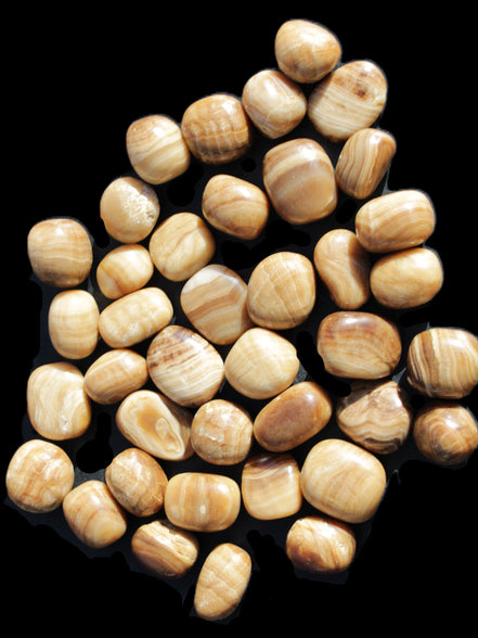 Chocolate Calcite 39 tumbled stones  23*17mm - 25*22mm 670g Wholesale in sunlight - Rocks and Things Store