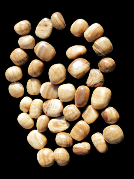 Chocolate Calcite 39 tumbled stones  23*17mm - 25*22mm 670g Wholesale in sunlight - Rocks and Things Store
