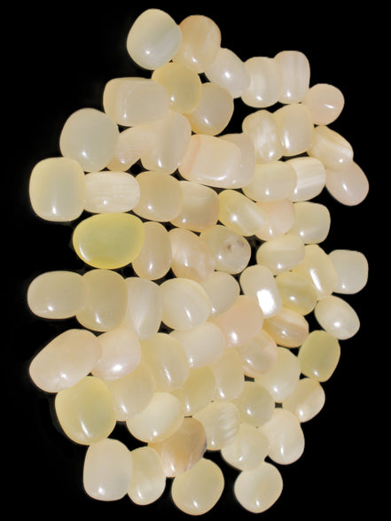Lemon Calcite 66 tumbled stones 12*9mm - 21*18mm 600g Wholesale in sunlight - Rocks and Things Store
