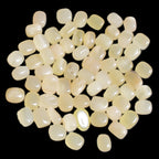 Lemon Calcite 66 tumbled stones 12*9mm - 21*18mm 600g Wholesale in sunlight - Rocks and Things Store