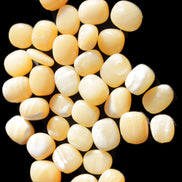 Lemon Calcite 36 tumbled stones 22*18mm - 30-24mm 730g Wholesale Rocks and Things Store