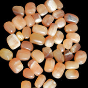 Topaz Calcite 44 tumbled stones 770g Wholesale Rocks and Things Store