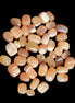 Topaz Calcite 44 tumbled stones 770g Wholesale Rocks and Things Store