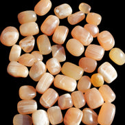 Topaz Calcite 44 tumbled stones 770g Wholesale Rocks and Things Store