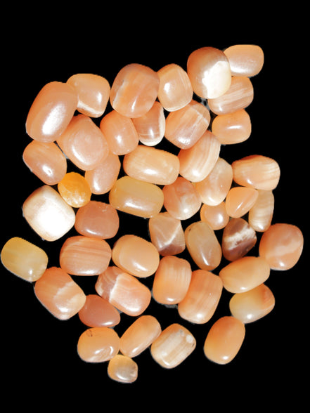Topaz Calcite 44 tumbled stones 770g Wholesale Rocks and Things Store