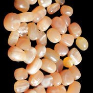 Topaz Calcite 44 tumbled stones 770g Wholesale Rocks and Things Store