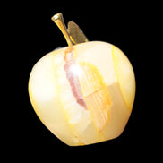 Yellow Afghan Jade Onyx hand-carved Apple 70*90mm 570g Rocks and Things Store