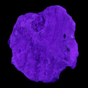 Kunzite, Green Tourmaline and Mica cluster 55*50*35mm 84g in UV light - Rocks and Things Store