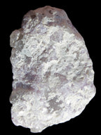 Pink Kunzite cluster in Green Tourmaline, Mica matrix 53*35*20mm 41g in sunlight - Rocks and Things Store