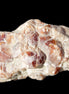 Spessartine garnet cluster 45*38*27mm 334ct 66.8g in sunlight 
 - Rocks and Things Store
