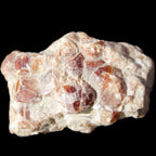 Spessartine garnet cluster 45*38*27mm 334ct 66.8g in sunlight 
 - Rocks and Things Store