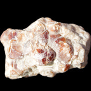 Spessartine garnet cluster 45*38*27mm 334ct 66.8g in sunlight 
 - Rocks and Things Store