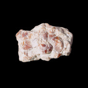 Spessartine garnet cluster 45*38*27mm 334ct 66.8g in sunlight 
 - Rocks and Things Store