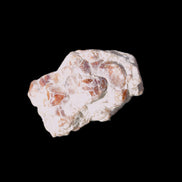 Spessartine garnet cluster 45*38*27mm 334ct 66.8g in sunlight 
 - Rocks and Things Store