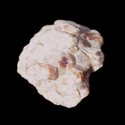 Spessartine garnet cluster 45*38*27mm 334ct 66.8g in sunlight 
 - Rocks and Things Store