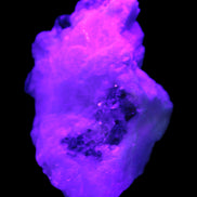 Spessartine Garnet Elbaite Mica Quartz Feldspar matrix 60*30*44mm 329ct 65.8g Rocks and Things Store