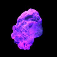 Spessartine Garnet Elbaite Mica Quartz Feldspar matrix 60*30*44mm 329ct 65.8g in UV light - Rocks and Things Store