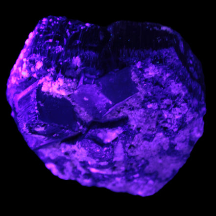 Amazing Black Tourmaline cluster 64*31mm 243.7g in UV light - Rocks and Things Store