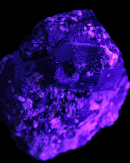 Amazing Black Tourmaline cluster 64*31mm 243.7g in UV light - Rocks and Things Store