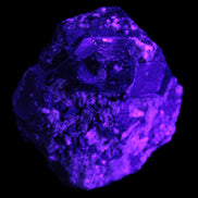 Amazing Black Tourmaline cluster 64*31mm 243.7g in UV light - Rocks and Things Store