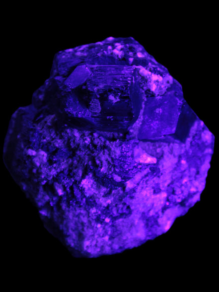 Amazing Black Tourmaline cluster 64*31mm 243.7g in UV light - Rocks and Things Store