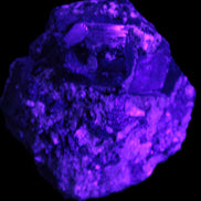 Amazing Black Tourmaline cluster 64*31mm 243.7g in UV light - Rocks and Things Store