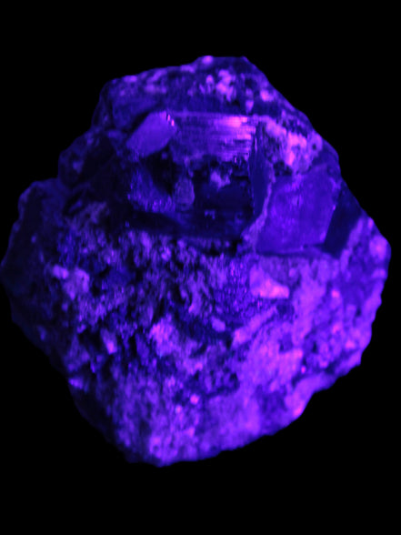 Amazing Black Tourmaline cluster 64*31mm 243.7g in UV light - Rocks and Things Store