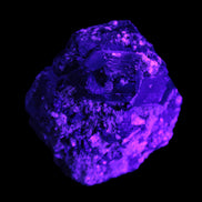 Amazing Black Tourmaline cluster 64*31mm 243.7g in UV light - Rocks and Things Store